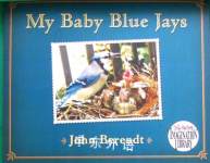 My Baby Blue Jays John Berendt