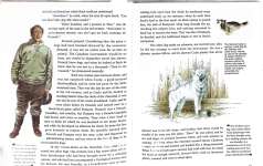 The Call of the Wild