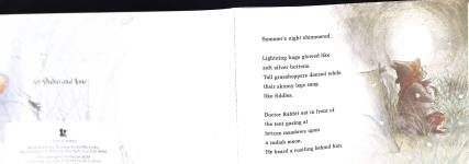 Doctor Rabbits Lost Scout