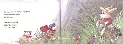 Doctor Rabbits Lost Scout