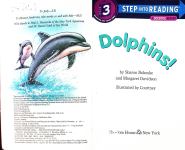 Dolphins!海豚！