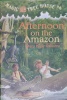 Afternoon on the Amazon  Magic Tree House
