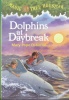 Dolphins at Daybreak Magic Tree House