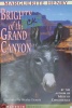 Brighty Of the Grand Canyon