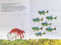 A House for Hermit Crab