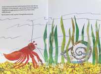 A House for Hermit Crab