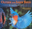 Outside and Inside Birds