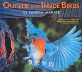 Outside and Inside Birds Sandra Markle