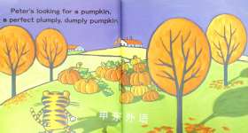 Plumply Dumply Pumpkin