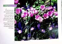 PERENNIALS
