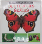Fascinating World of Butterflies and Moths Francisco arredondo