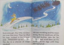 The Magic Reindeer (Christmas Books)