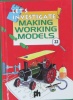 Making Working Models (Let's Investigate)