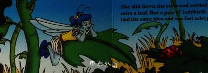 Daisy Pixie