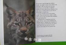 Lynx Natures Children