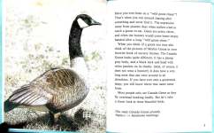 Nature\'s Children: Canada Goose