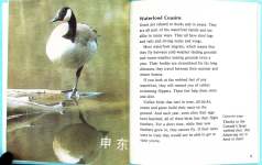Nature\'s Children: Canada Goose