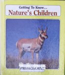 Pronghorns Natures Children Merebeth Switzer