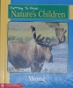 Moose: And, Owls / Elin Kelsey (Getting to know... nature's children)