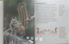 Getting to Know . . . Nature's Children: Chipmunks/Beavers