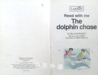The Dolphin Chase