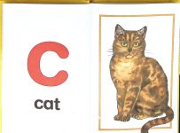 Alphabet