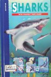 Sharks & Other Fish (Information Ser.)) Uk