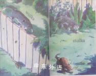 Read With Ladybird Collection1-4