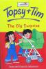 Topsy and Tim: The Big Surprise