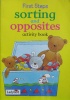 First Steps Sorting and Opposites Activity Book