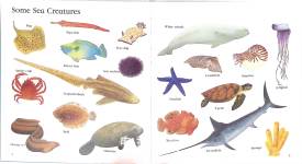 Sea Creatures