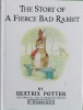 The Story of A Fierce Bad Rabbit