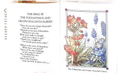 Flower Fairies of the Garden