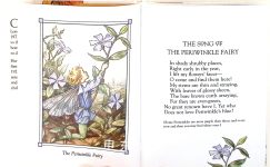 Flower Fairies of the Garden