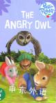 Read it yourself with Ladybird Level 2:The angry owl Ladybird Books