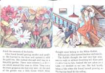 Alice in Wonderland