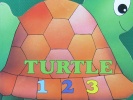 Turtle:123