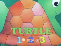 Turtle:123 Norman Gorbaty