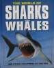 World of Sharks and Whales