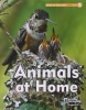 Animals at Home