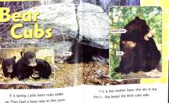 Animals at Home