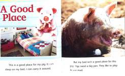 Animals at Home