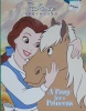 Disney Princess: A Pony for a Princess Step into Reading Step 2