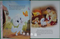 Furry, Fluffy & Fabulous! (Disney Princess: Palace Pets) (Big Golden Book)