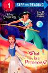 What Is a Princess? (Disney Princess) Jennifer Liberts