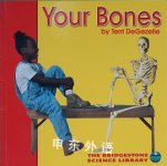 Your Bones (Your Body) Terri DeGezelle