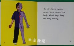The Circulatory System (Human Body Systems)