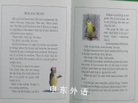 The Green book of Hob stories