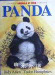 Animals at Risk:Panda Judy Allen and Tudor Humphries