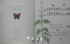 Caterpillar Caterpillar (Read & Wonder)
